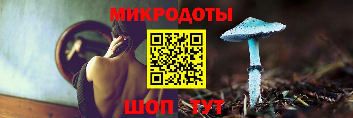 Псилоцибиновые грибы мухоморы Кимовск